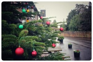 Reg Porter Tourist Trail - Xmas Tree - Emma Gearing